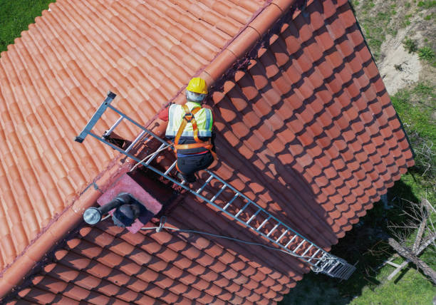 Best Green or Eco-Friendly Roofing Solutions  in Round Lake Heights, IL