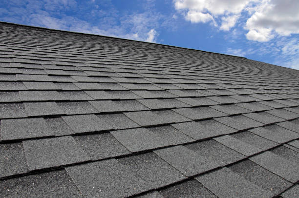 Best Rubber Roofing (EPDM, TPO)  in Round Lake Heights, IL